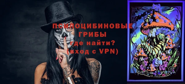 прущая мука Кинешма
