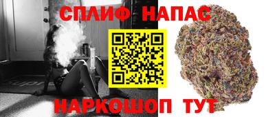 СК Гусь-Хрустальный