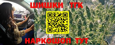 СК Гусь-Хрустальный