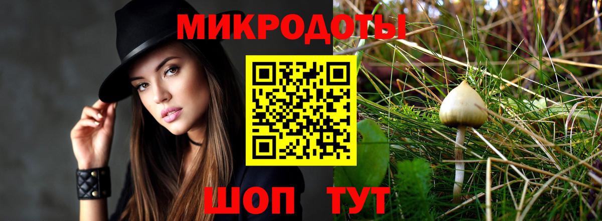 купить закладку  Псилоцибиновые грибы MAGIC MUSHROOMS  Вход с VPN  Галлюциногенные грибы Magic Shrooms  Камышин 
