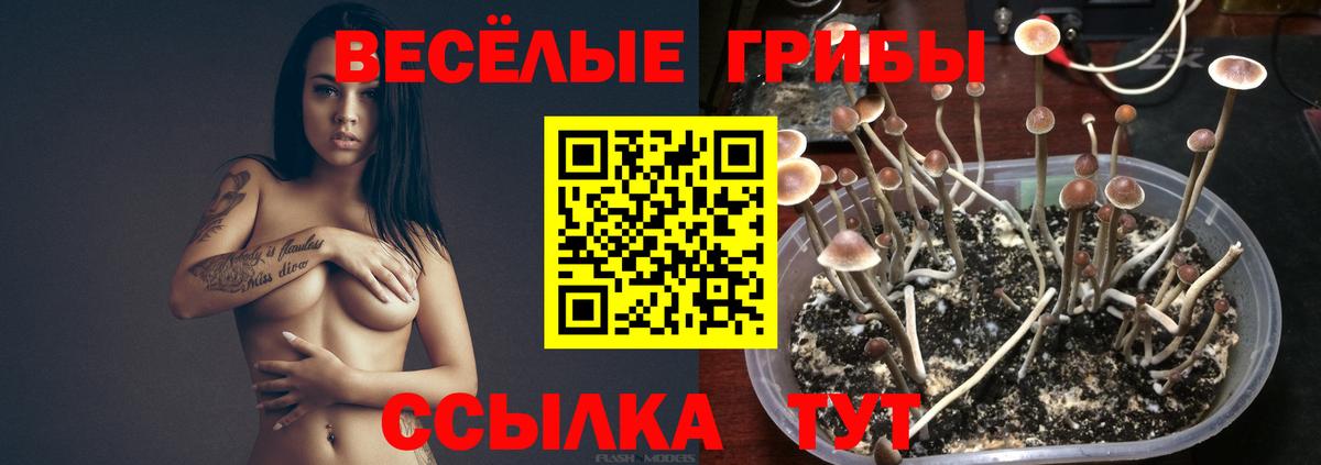 Гашиш  МАРИХУАНА  Камышин  COCAIN  Вход с VPN  МЕФ   A-PVP СОЛЬ кристаллы 