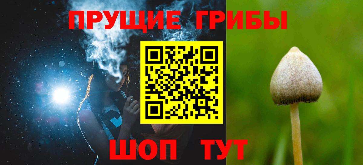 Псилоцибиновые грибы мицелий Камышин